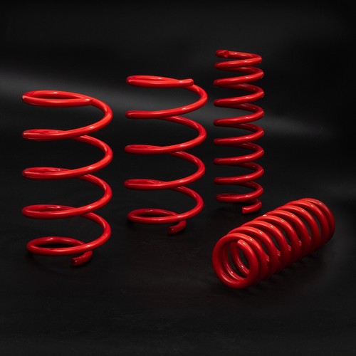 Direnza ressorts courts 50mm - courts,